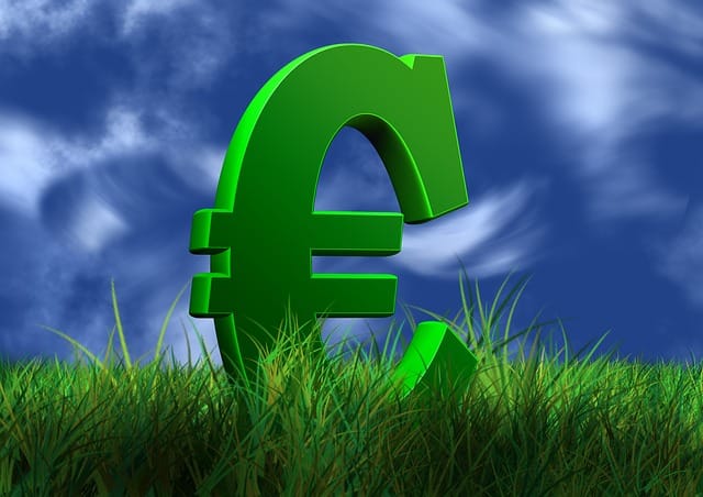 euro